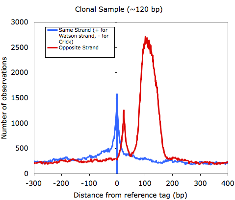 clonal autocorrelation