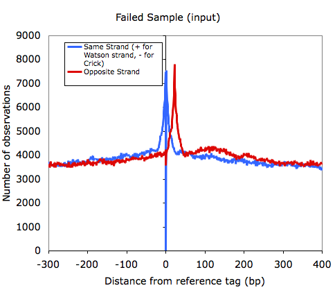 input autocorrelation