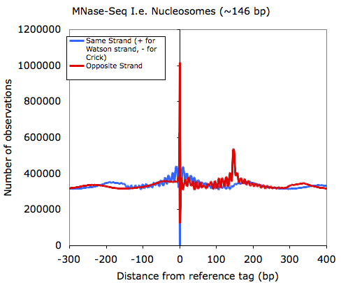 mnase-seq autocorrelation