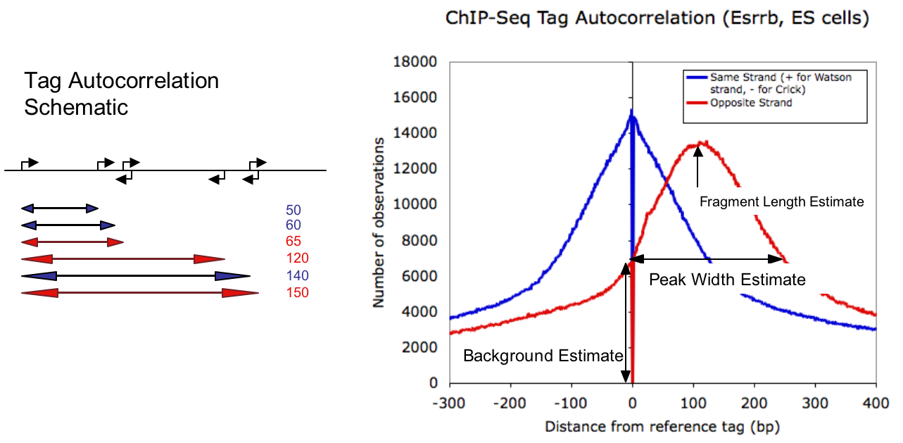 autocorrelation schematic