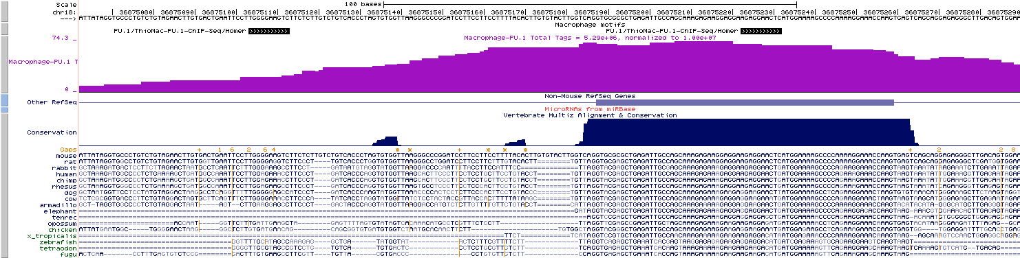 mbed motif example