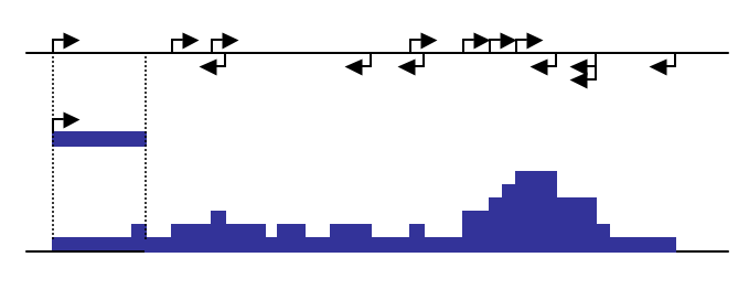ucsc diagram