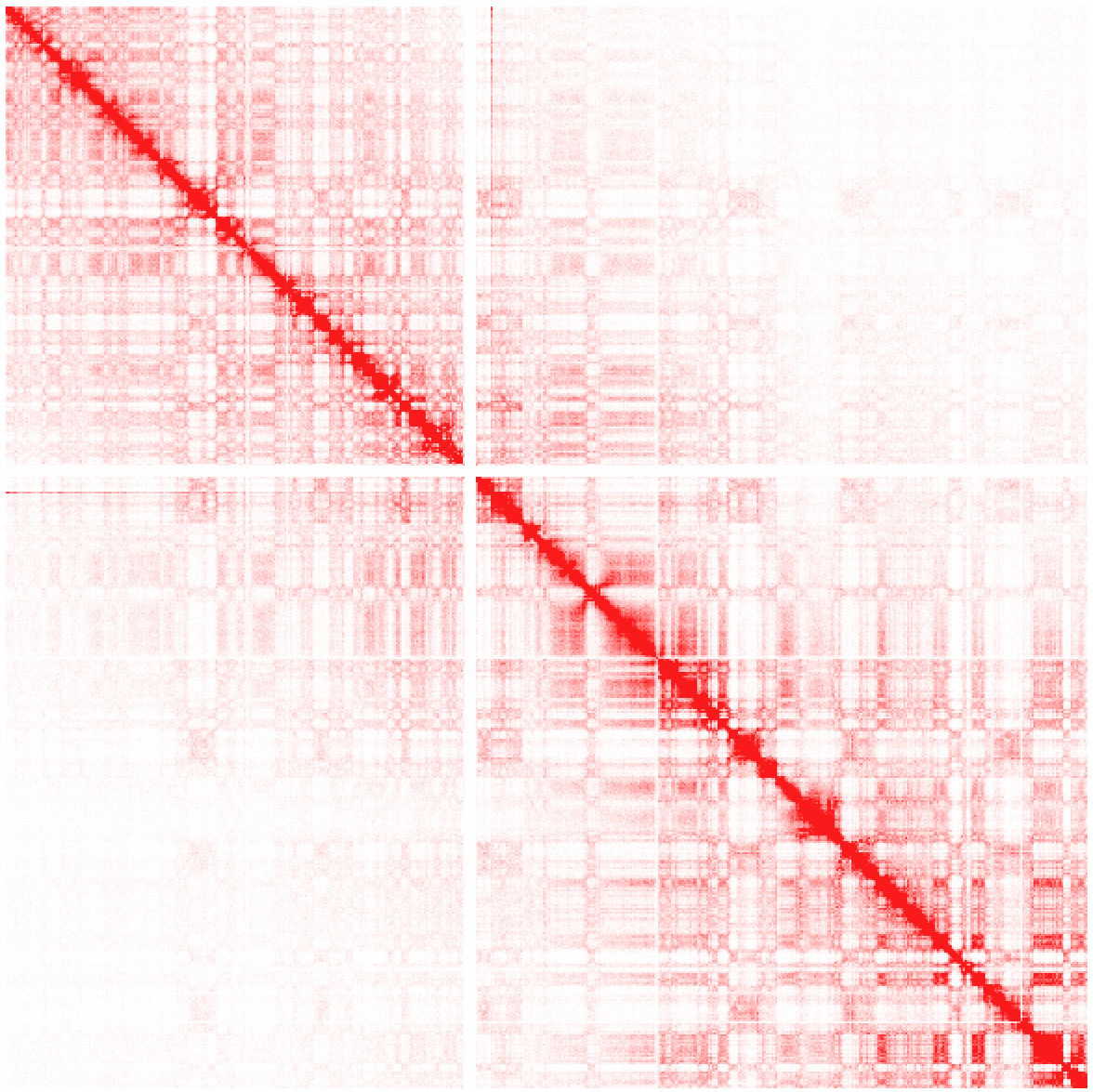 HiC Raw reads chr1 100kb