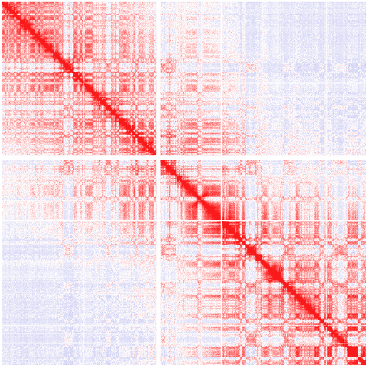HiC Chr1 Simple Normalization 100kb