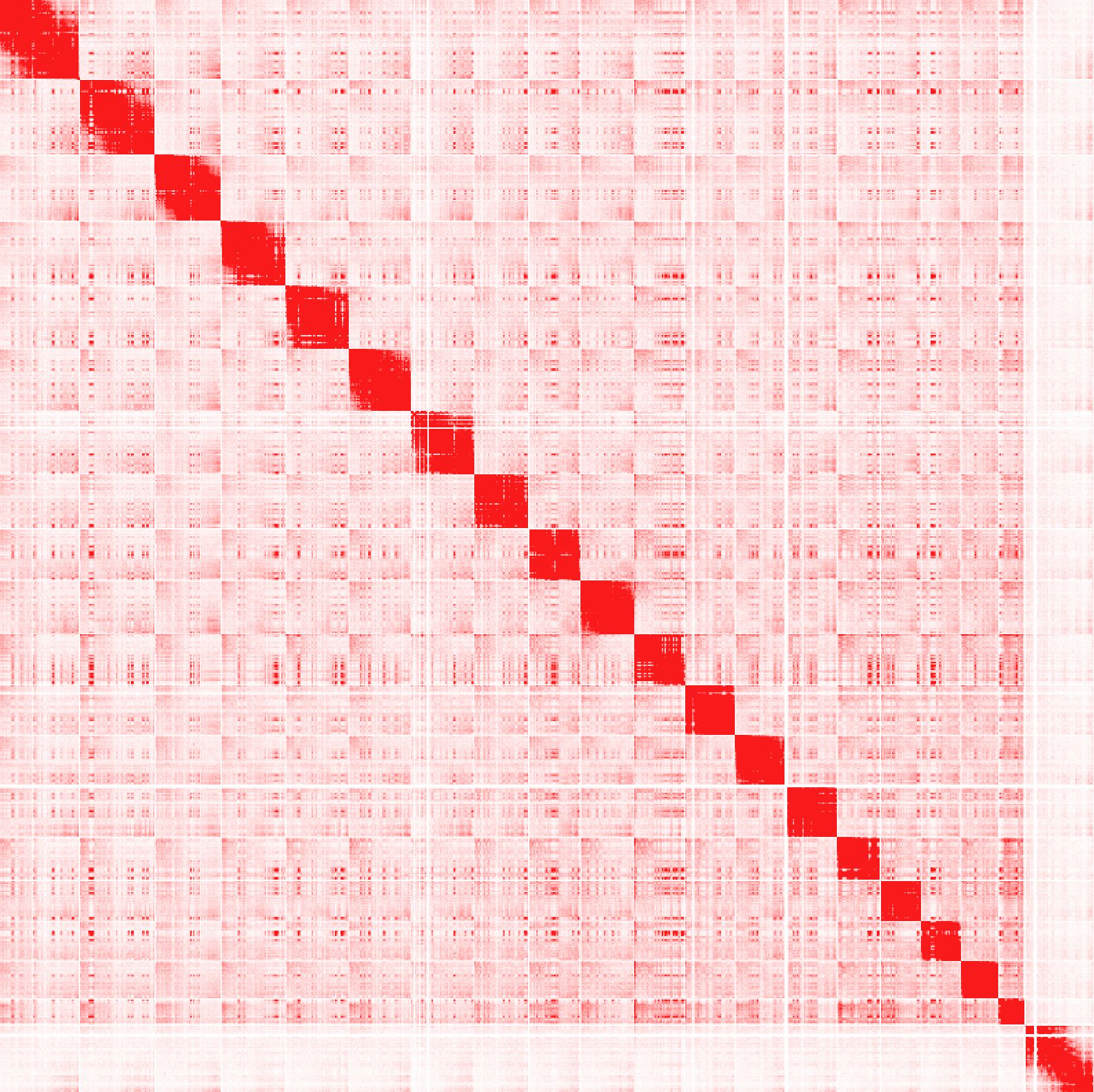 HiC raw interactions full genome 1mb