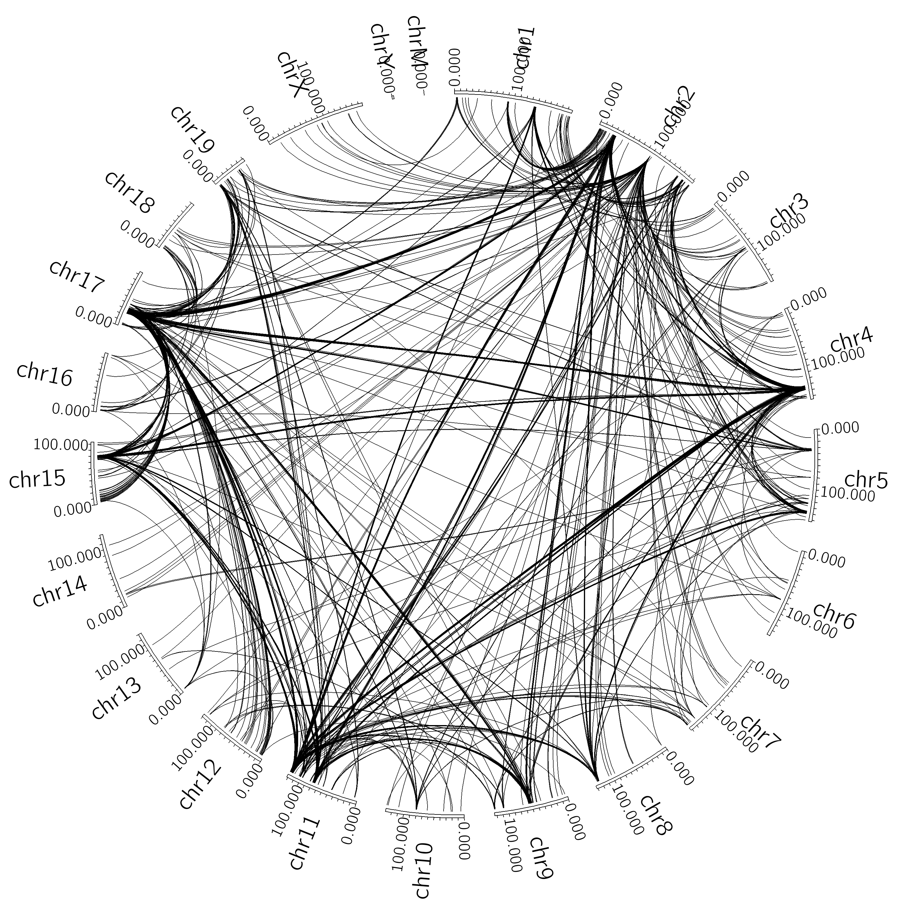 Circos Interchromosomal Interactions
Hi-C Homer