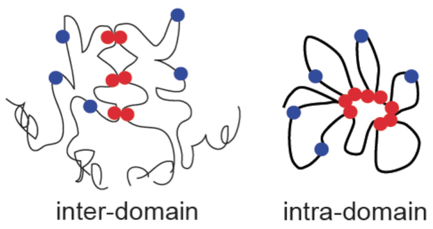 Hi-C SIMA interpretation