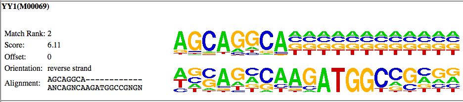 motif alignment