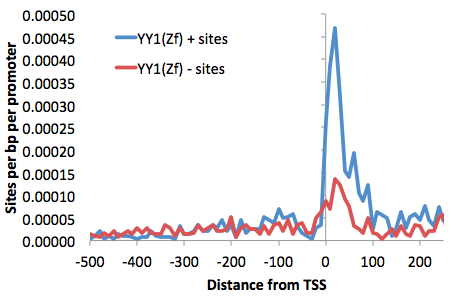 Motif TSS histogram YY1