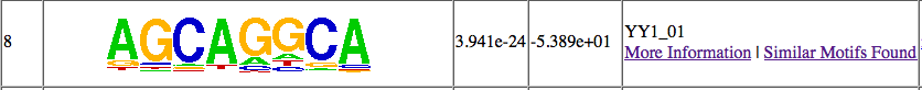 motif results example