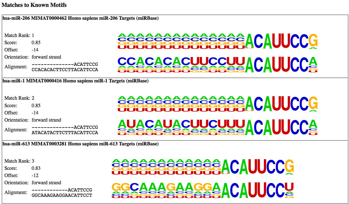 matches to mir1 motifs