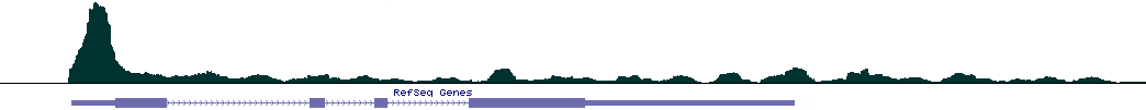 Proximal
                  Promoter pausing GRO-Seq