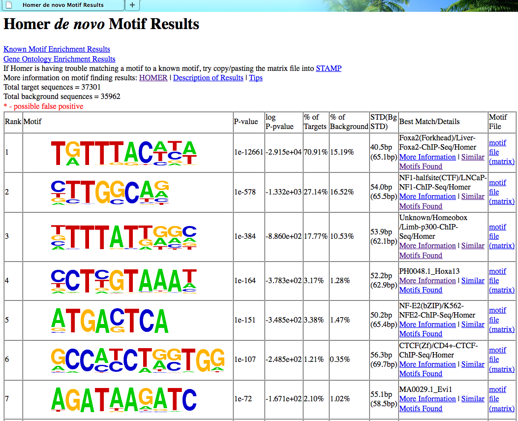 motif finding output
