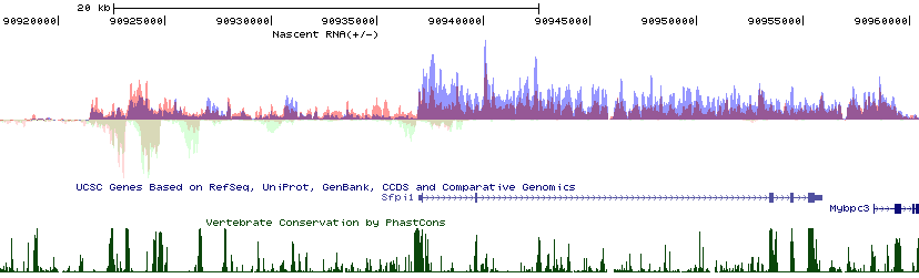 HOMER UCSC Hub RNA example